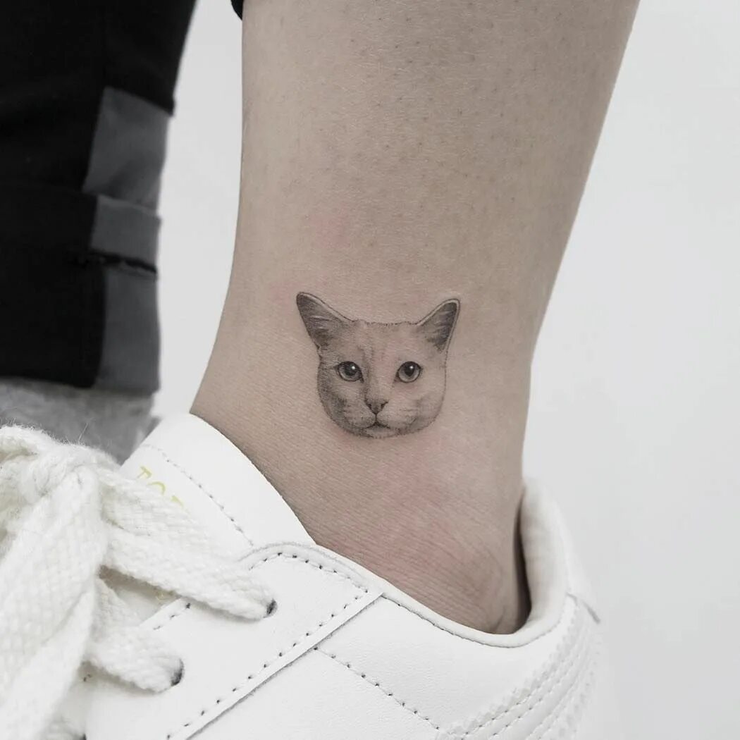 Tati cat. Тату кошка. Маленькие тату кошки. Тату кошка маленькая. Тату морда кошки.