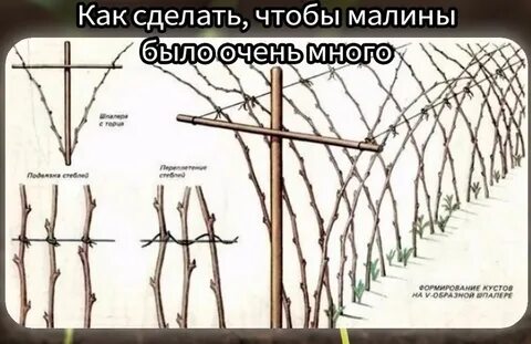 Чтобы были ровные ряды