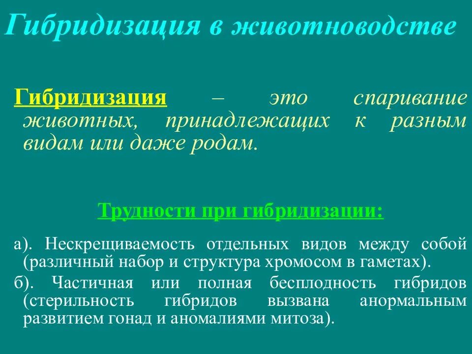 Метод гибридизации животных. Гибридизация в животноводстве. метод гибридизации у животных. гибридизация в животноводстве примеры. задачи гибридизации в животноводстве.