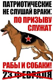 Не служил не слуга