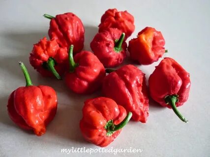 Few peppers