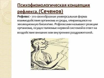 Мышление рефлекс