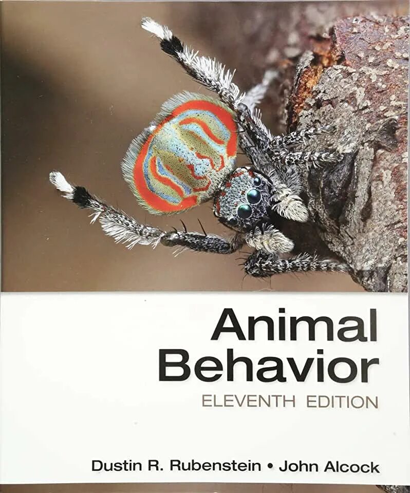 Animal behaviour. Animal behavior. textbook animal behavior research protocols. textbook methods of animal behavior research.
