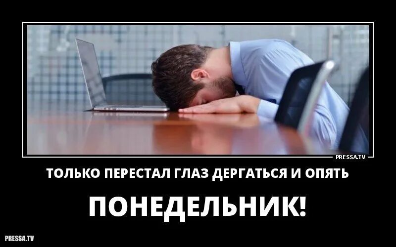 понедельник после работы. понедельник после выходных. понедельник после работы. статусы про понедельник прикольные. рабочие будни кота.