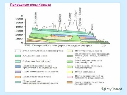 Зоны кавказа