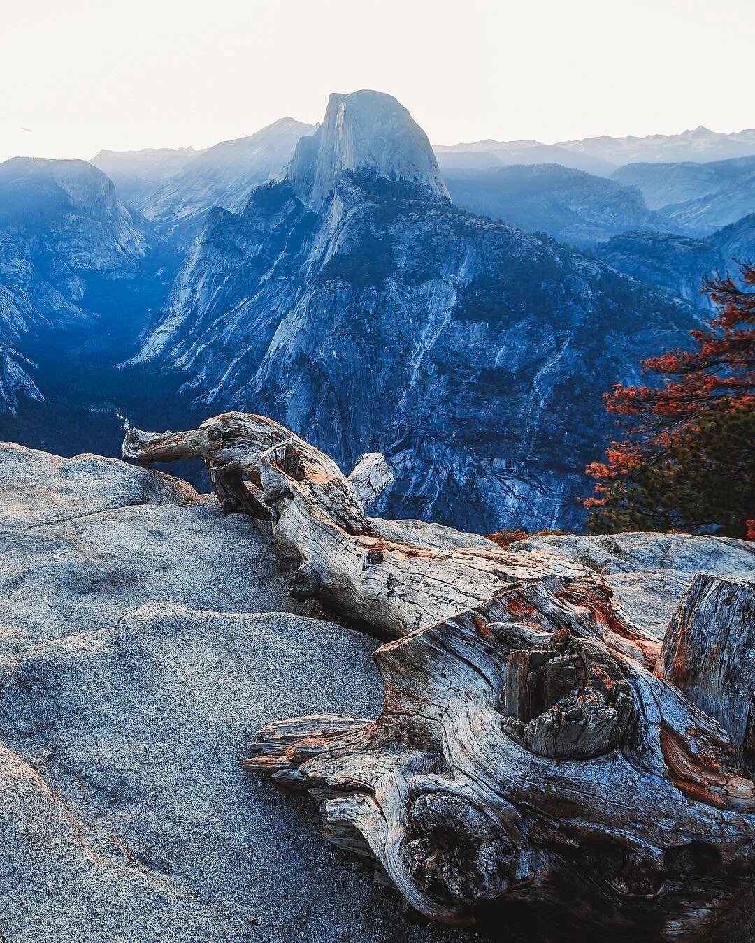 Nature работа
