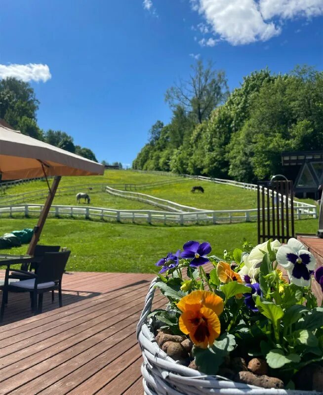 зеленое озеро дмитров. отель изумрудный лес подмосковье клин. эко-отель изумрудный лес подмосковье. загородный клуб зеленое озеро. зеленое озеро загородный клуб дмитровский район.