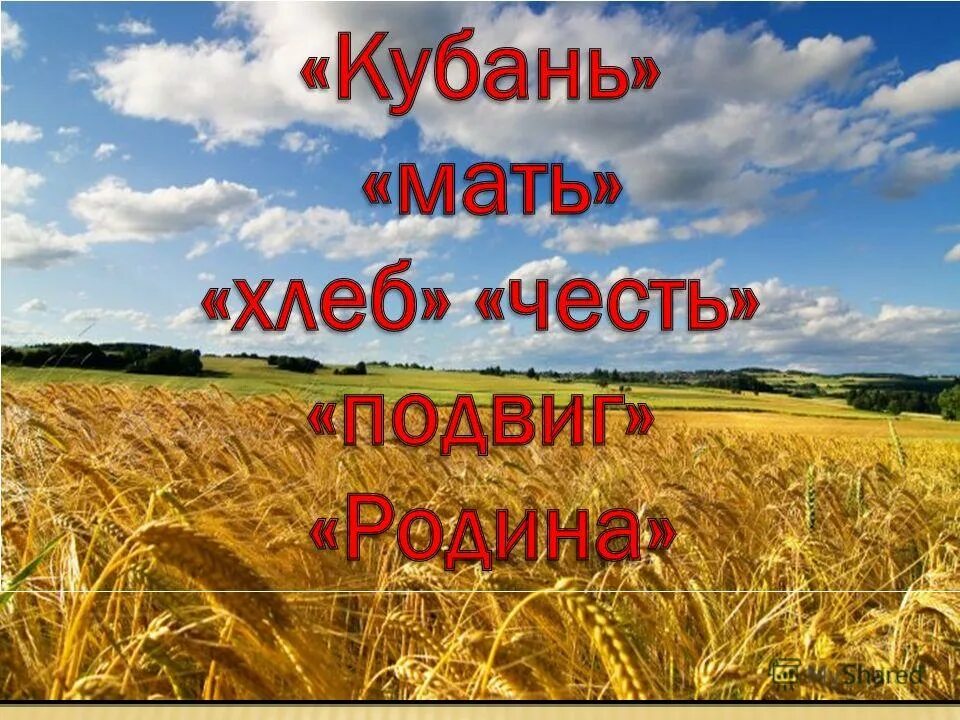 Герои полей Кубани. Труженики Кубани. Проект на тему герои кубанских полей. Труженики кубанских полей. Труженики родной земли 2 класс