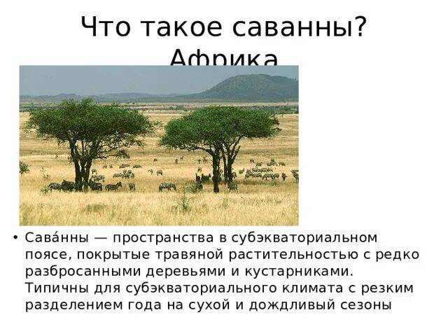 Природные зоны в экваториальном и субэкваториальном. Природные зоны в экваториальном и субэкваториальном
