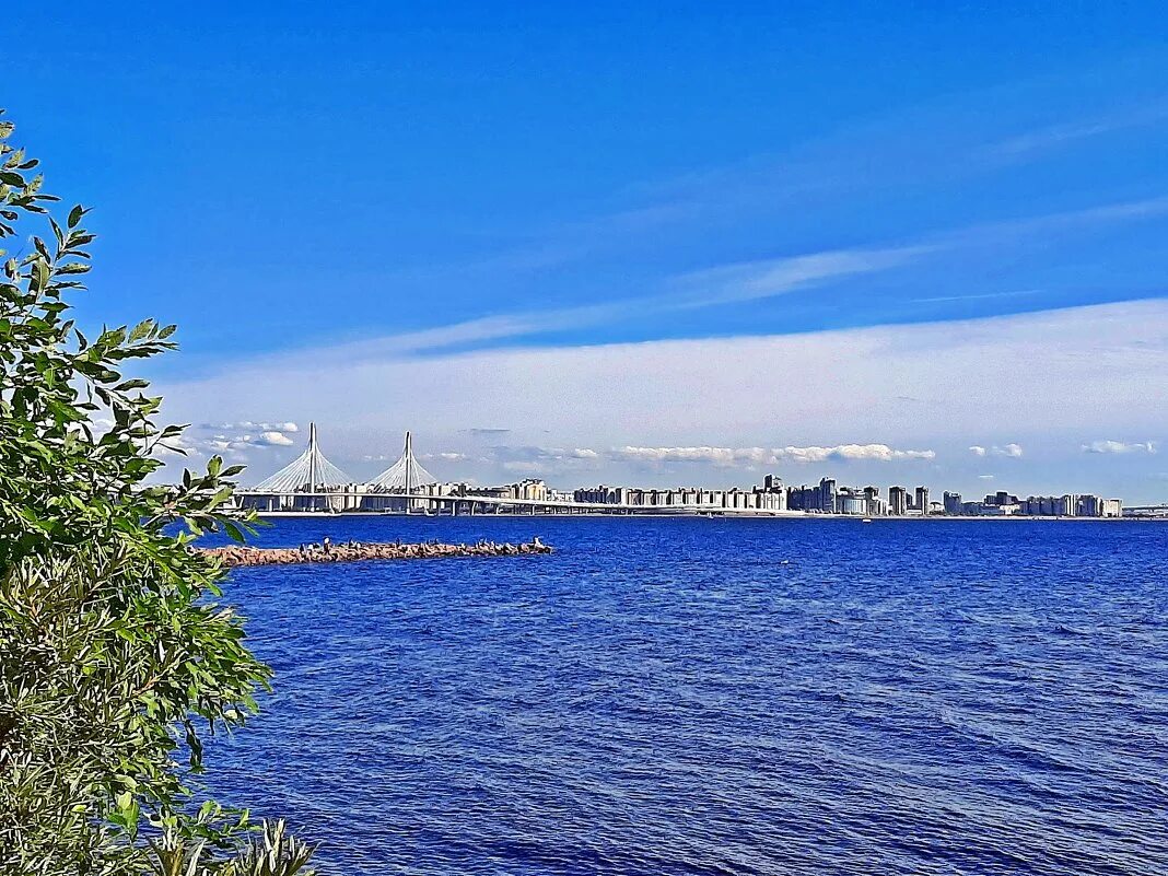 Устье невы. Крепость в устье невы. Акватория большой невы. Устье невы. Устье невы фото.