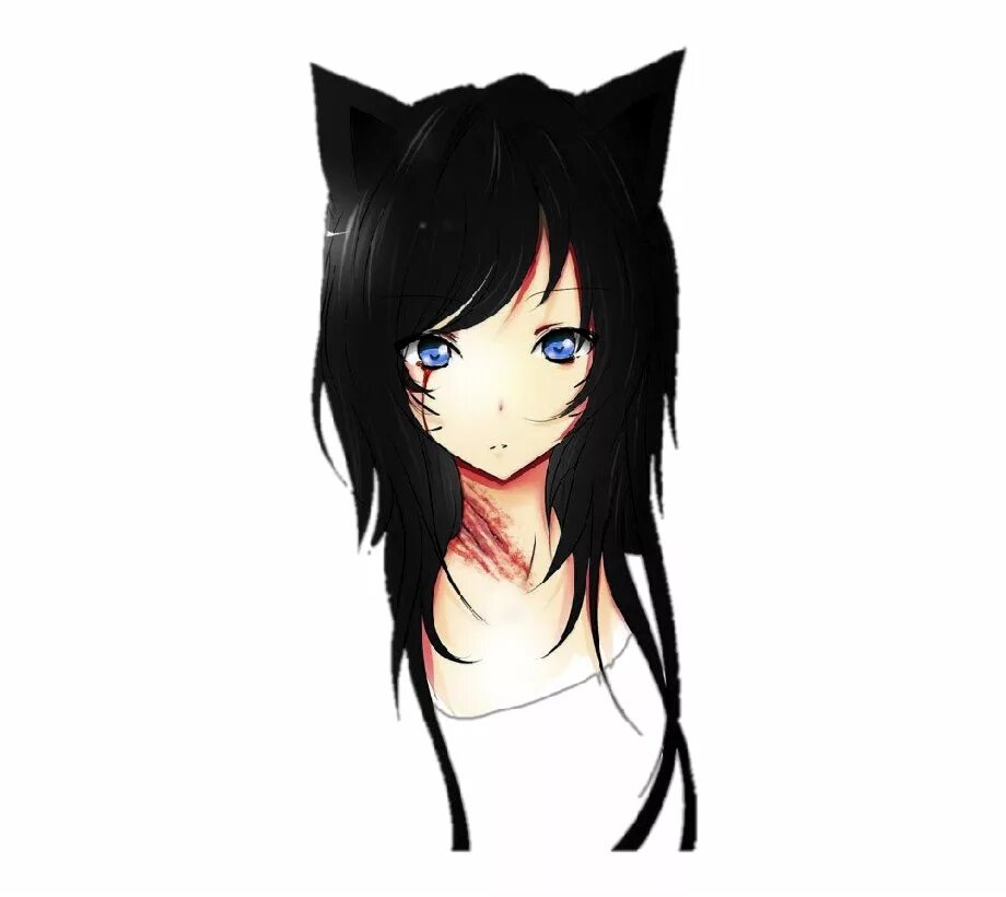 Sad cat animation