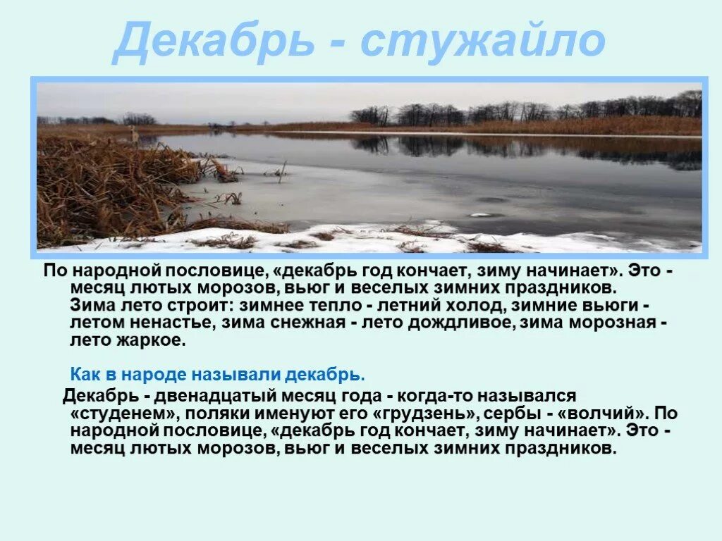 Изменения в природе в декабре. Декабрь стужайло. Рассказ о декабре. Сообщение о декабре. Декабрь начинает пословица.