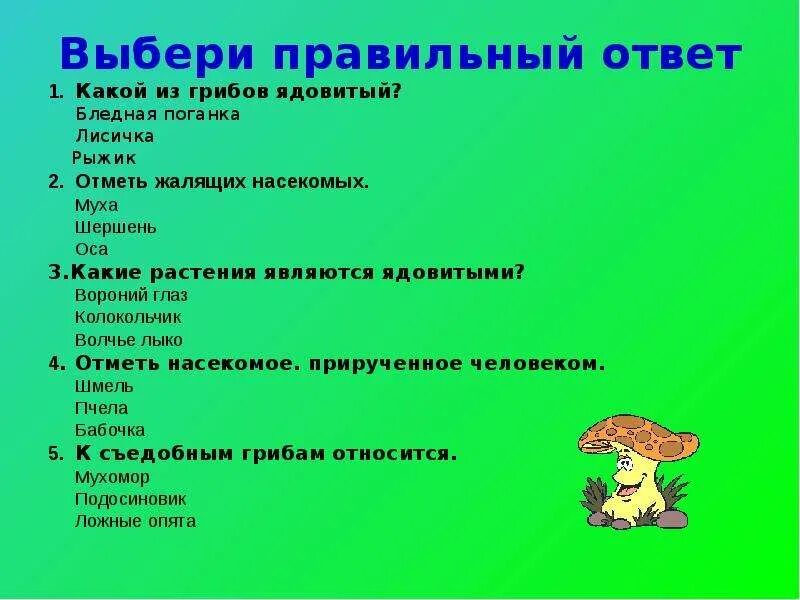 Разнообразие животных и растений 3 класс тест. Вопросы про грибы. вопросы для детей по теме грибы. тест на тему грибы. вопросы про съедобные грибы.