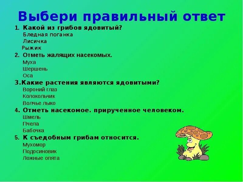 Тест окружающий мир лесные опасности 2 класс. Вопросы про грибы. Вопросы для детей по теме грибы. Вопросы про ядовитые грибы.