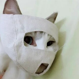 Намордник для кошек