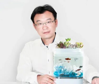 Xiaomi fish