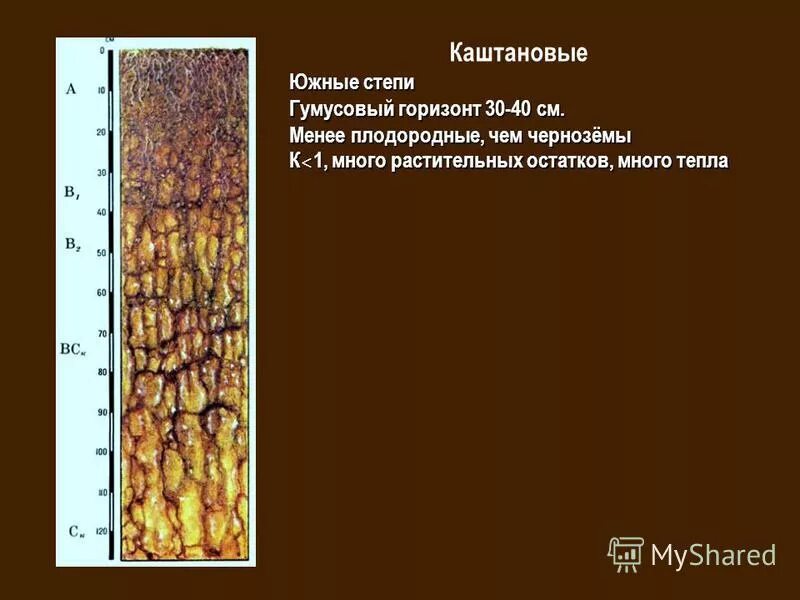 почвы плодородие почв гумусовый горизонт