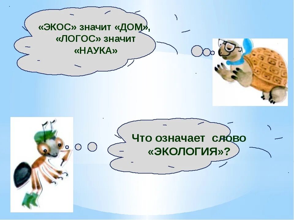 Цель слова среда. Значение слова экология. Что значит слово экология. Экология слова. Что означает слово Экос.