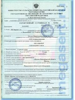 Карантинный сертификат это profilogistik