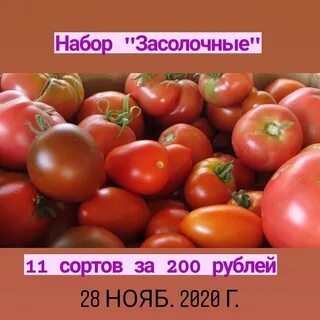 Томат почтой