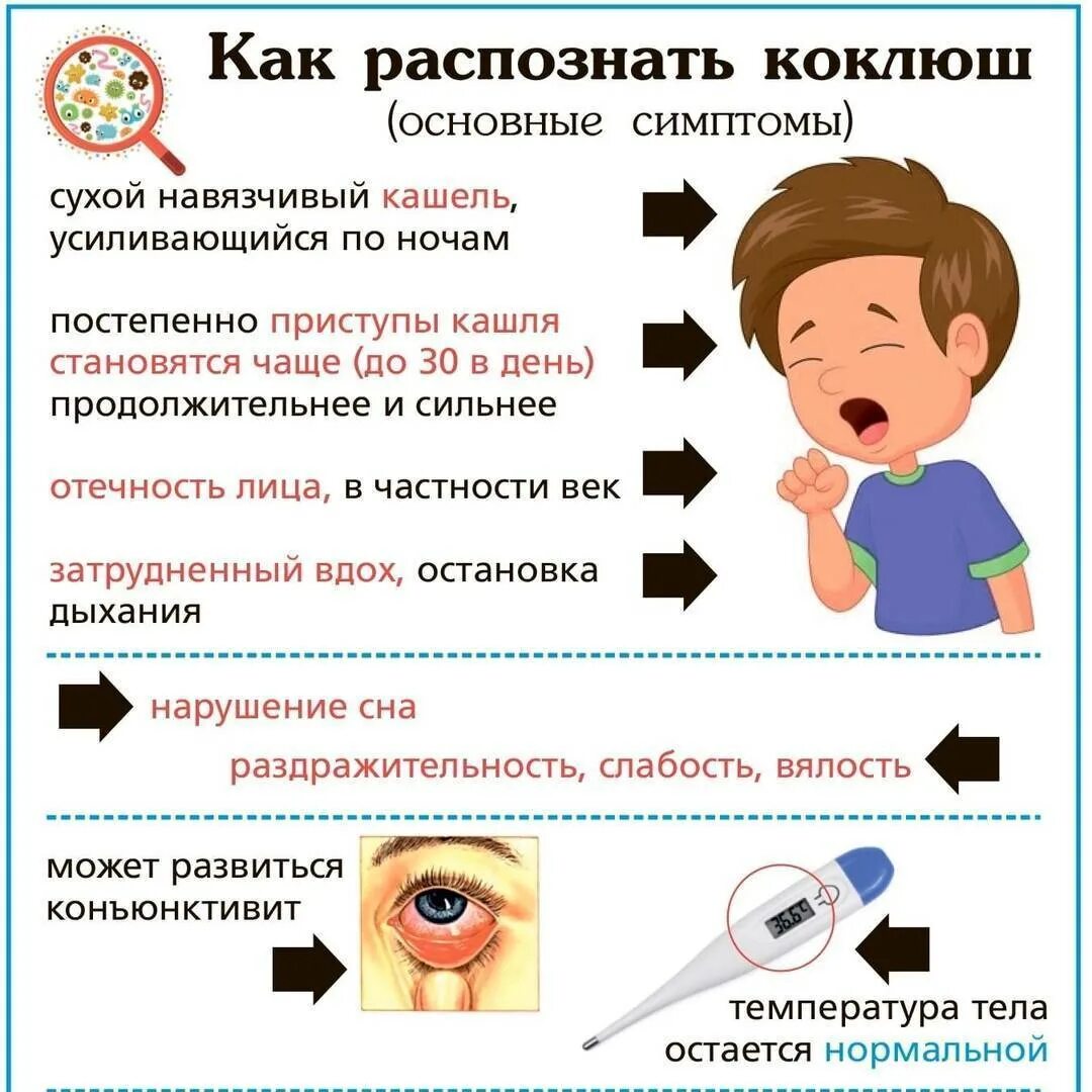 Повторно заболеть коклюшем. Коклюш симптомы у детей 5 лет. Коклюш кашель у детей симптомы.