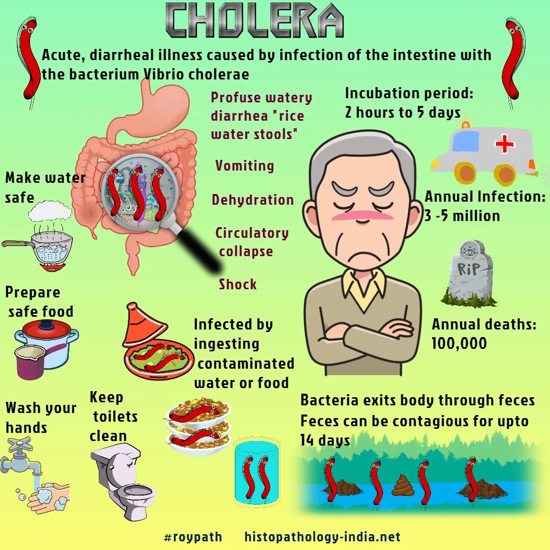 Разница между illness и disease. Illness disease разница.