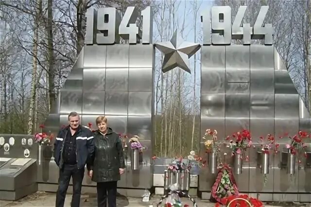 Отзывы петухово