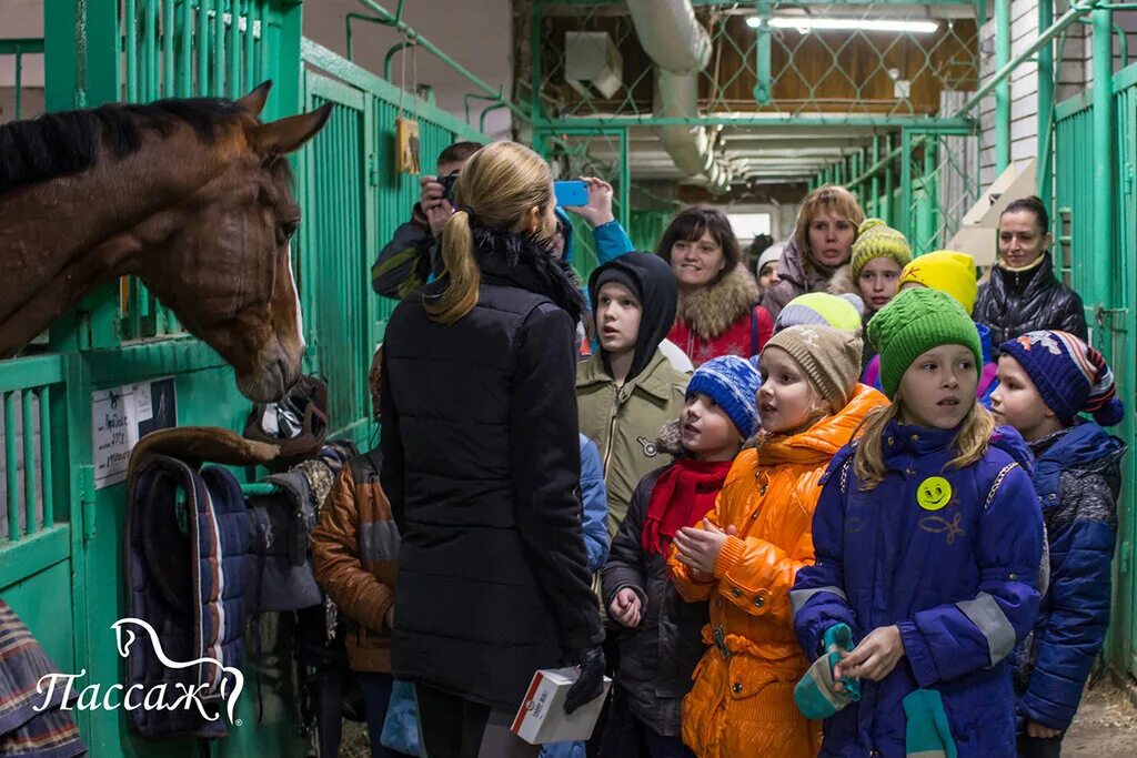 Клуб пассаж. Пассаж конный клуб Нижний Новгород. Конюшня Пассаж Нижний Новгород. Пассаж, Нижний Новгород, Овражная улица. Манеж Пассаж Нижний Новгород.