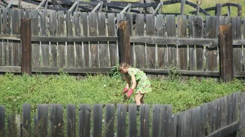 Деревенская писает