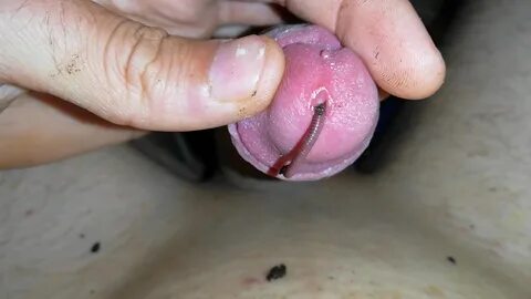 Kjgkjgjgjgjgkjhkjhklhkhkkhgjk. 