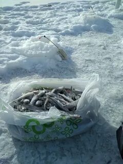 Новости с водоемов дамба