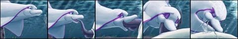 Slideshow how fast can a dolphin can cum.