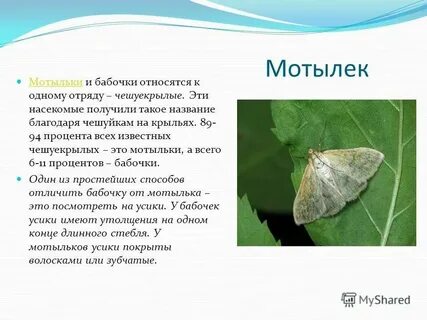Данный список относится к типу