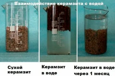 Впитывает ли воду