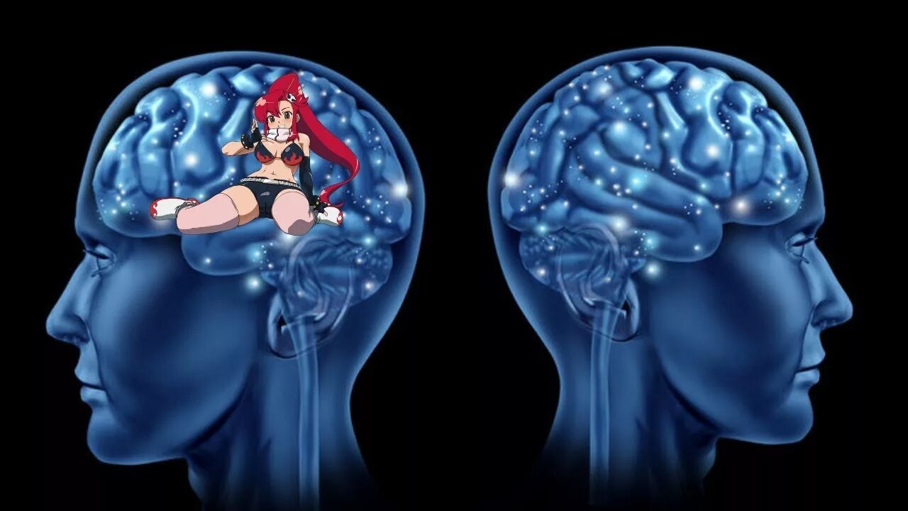 Видео про мозг. Головной мозг женщины. Красивая девушка с мозгом.