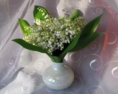 Открытка с днем рождения ландыши женщине красивые