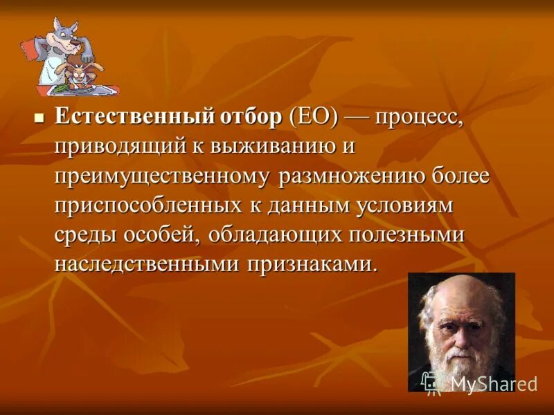 Процесс выживания приспособленных особей. Естественный отбор у людей. естественный отбор приводит к. процесс выживания особей. выживание особей с полезными в данных условиях.