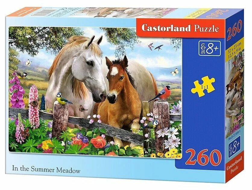 Пазлы храм спаса на крови касторленд. Пазл castorland the magic carpet (b-018369), 180 дет. Пазл замок шенонсо. Castorland пазлы 500 лама. B puzzle.