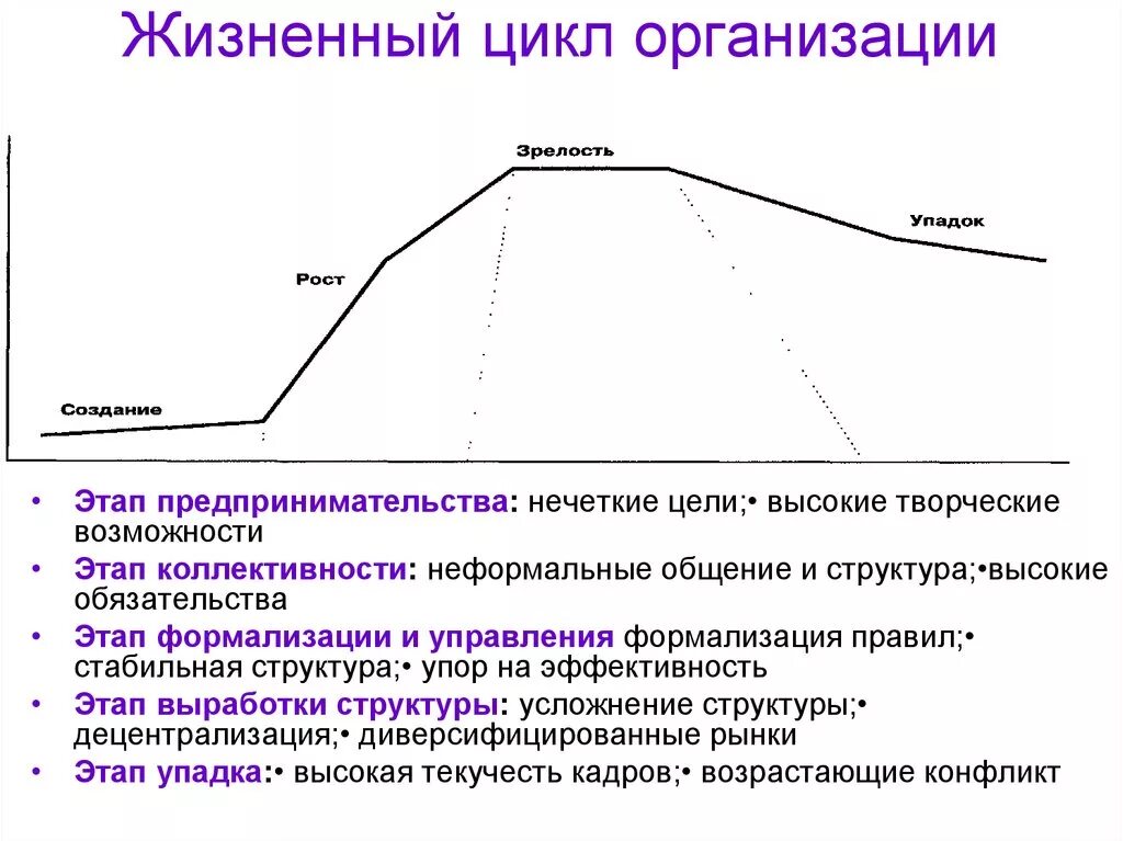 Стадия (фаза) жизненного цикла предприятия. Определяются следующие фазы жизненного цикла организации:. Основные этапы жизненного цикла организации. Организационная структура и этапы жизненного цикла организации..