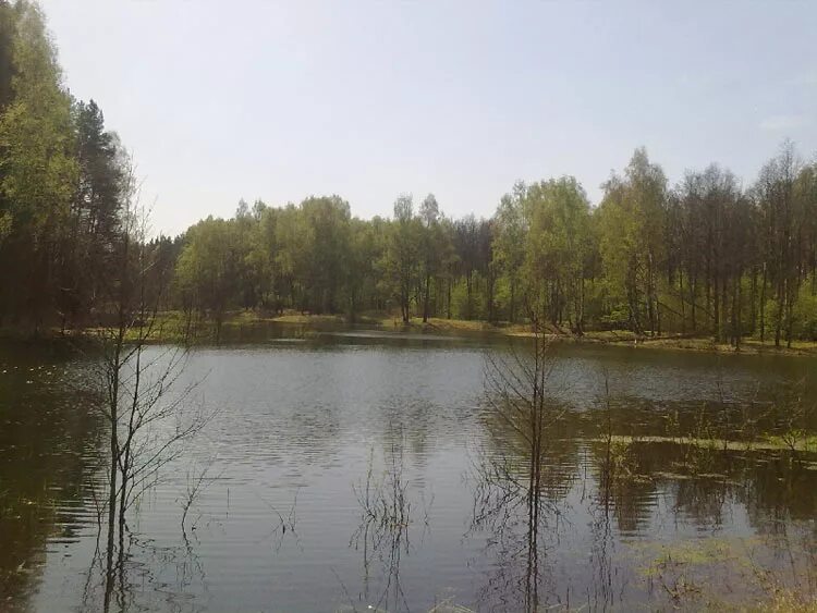 прогноз погоды бетлица калужская