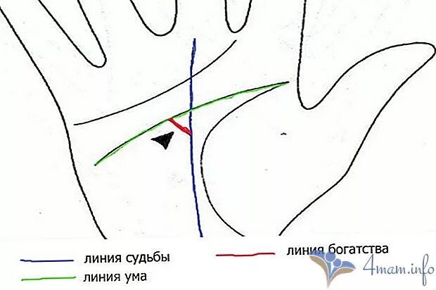 Линия судьбы соединяется линия. Линия судьбы и линия ума. линия судьбы доходит до линии головы. линия жизни и линия ума соединены. вилка на линии судьбы.