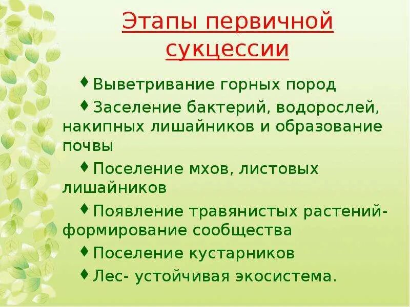 Стадии первичной сукцессии. Формирование первичной сукцессии. Основные этапы первичной сукцессии. Сериальная стадия сукцессии.