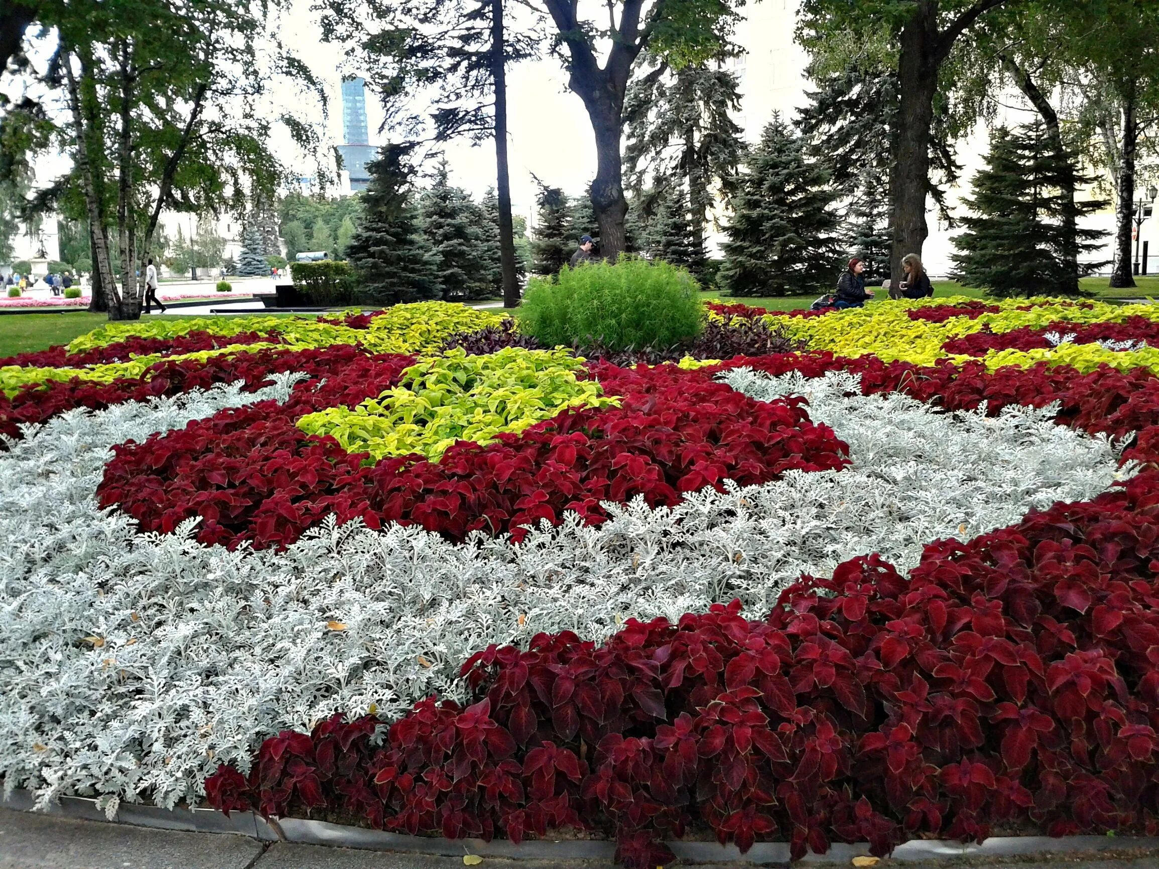Саду в каком городе