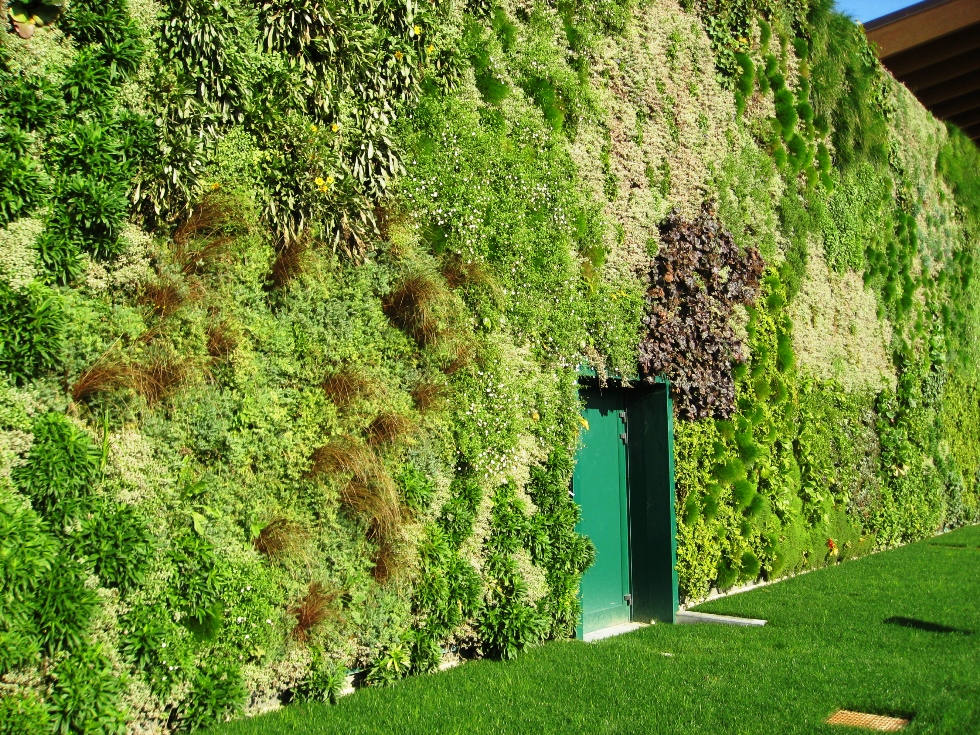 Стены и вертикального размера. Вертикальный сад Роццано. Вертикальный сад Италия. Стена в саду. Вертикальная стена.