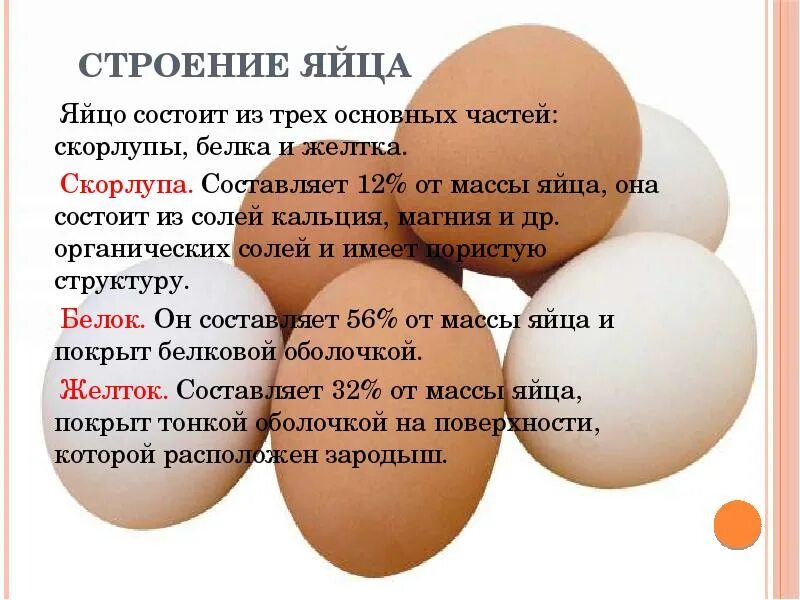 Вес куриной скорлупы. Из чего состоит яйцо. Состав куриного яйца. Белок куриного яйца. Яйцо белок желток скорлупа.