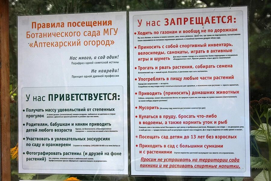 Правила посещения ботанического сада. Правила поведения в Ботаническом саду. Правила посещения. Правила поведения в Ботаническом саду для детей. Правила посещения петербурга