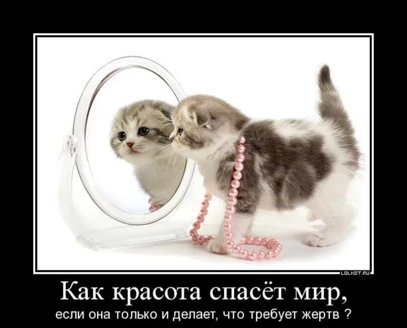 Которая требует