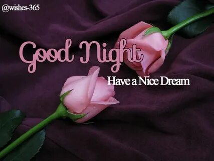 Nice dream