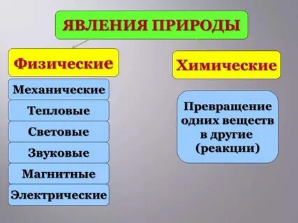 Биологические явления относятся