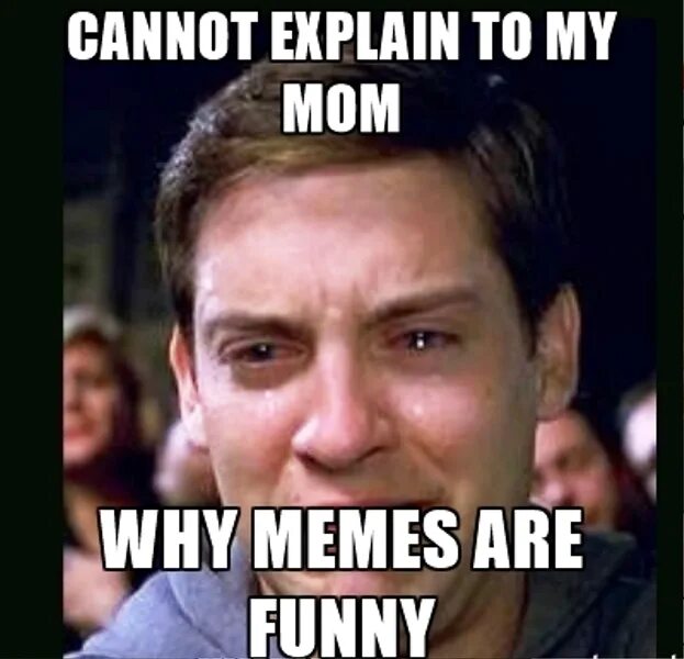 Explain my mother. Explain memes. explain мем. why мем. funny memes.